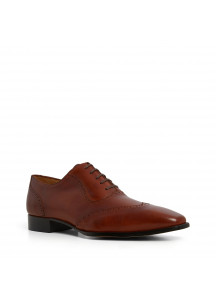 Adelaide Wingtip With Brogue Brown