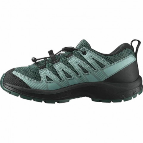 Sports Trainers for Women Salomon XA Pro V8 Moutain Green