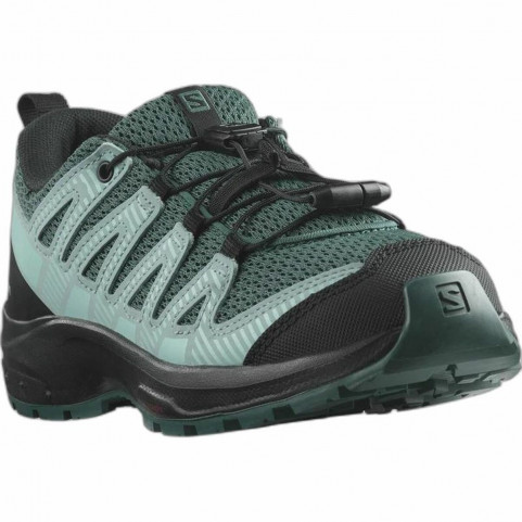 Sports Trainers for Women Salomon XA Pro V8 Moutain Green