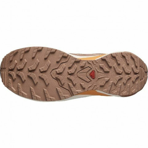 Sports Trainers for Women Salomon X-Adventure GORE-TEX Moutain Brown