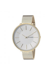 Ladies'Watch Skagen KAROLINA (Ø 38 mm)