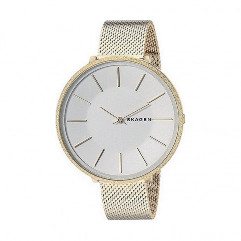 Ladies'Watch Skagen KAROLINA (Ø 38 mm)