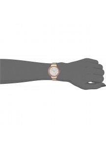 Ladies' Watch Skagen ANCHER (Ø 30 mm)