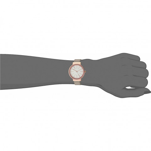 Ladies' Watch Skagen ANCHER (Ø 30 mm)