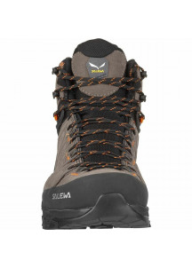 Hiking Boots Salewa Alp Trainer 2 Mid Gore-Tex Grey