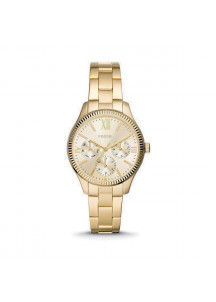 Ladies' Watch Fossil RYE (Ø 36 mm)