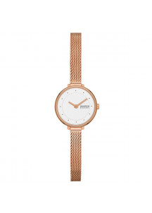 Ladies'Watch Skagen GITTE LILLE (Ø 22 mm)