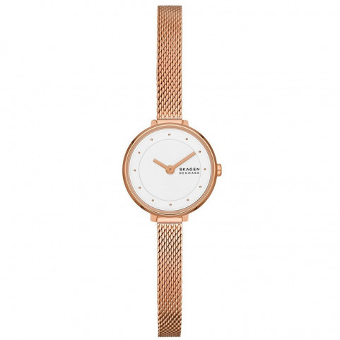 Ladies'Watch Skagen GITTE LILLE (Ø 22 mm)