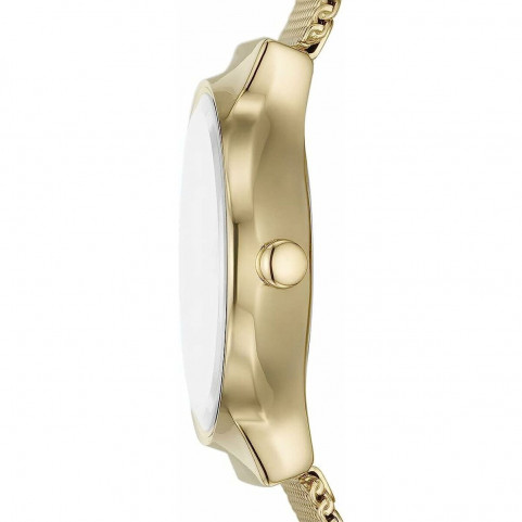 Ladies' Watch Skagen SKW3084