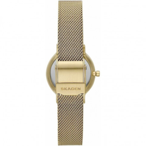 Ladies' Watch Skagen SKW3084