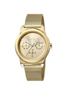 Ladies' Watch Esprit ES1L004M0045