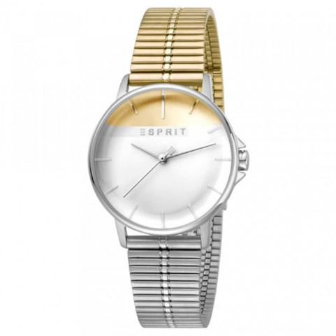 Ladies' Watch Esprit ES1L065M0095