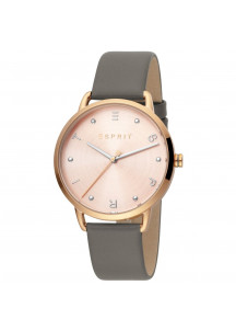 Ladies' Watch Esprit ES1L173L0045