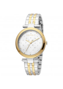 Ladies' Watch Esprit ES1L167M0105