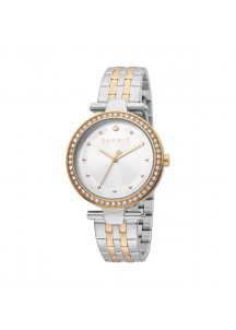 Ladies' Watch Esprit ES1L153M0105