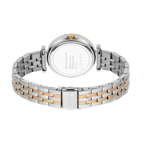 Ladies' Watch Esprit ES1L153M0105