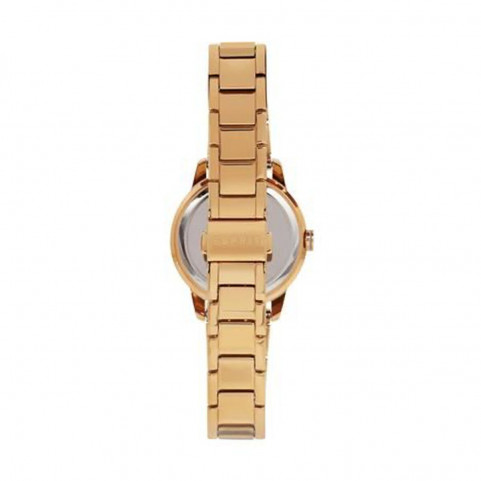 Ladies' Watch Esprit ES1L136M0115