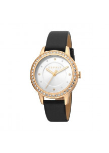 Ladies' Watch Esprit ES1L163L0045