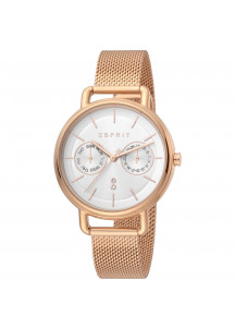 Ladies' Watch Esprit ES1L179M0095