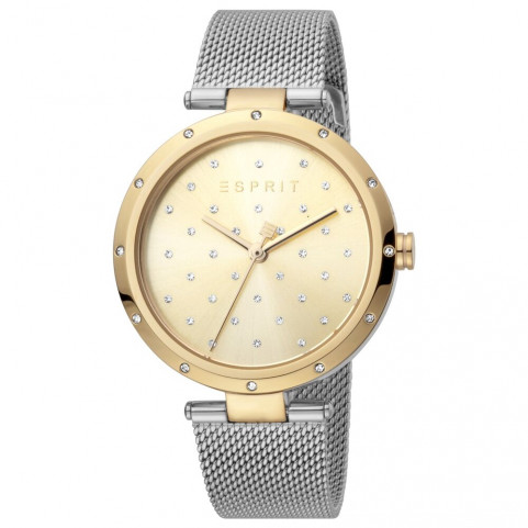 Ladies' Watch Esprit ES1L214M0085