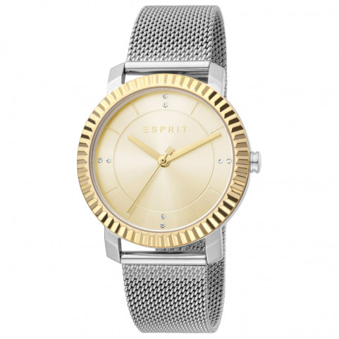 Ladies' Watch Esprit ES1L184M0045