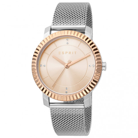 Ladies' Watch Esprit ES1L184M0055