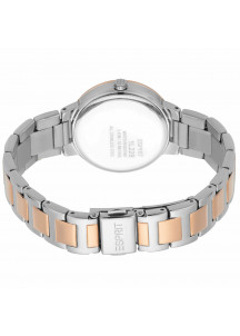 Ladies' Watch Esprit ES1L228M0065