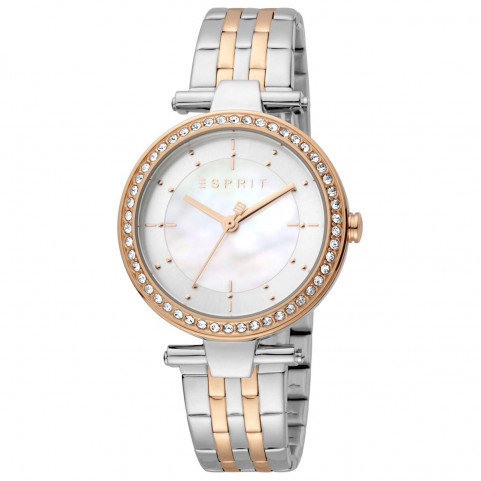 Ladies' Watch Esprit ES1L153M2065