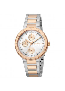 Ladies' Watch Esprit ES1L226M0055