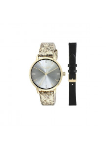 Ladies'Watch Daisy Dixon MISCHA (Ø 36 mm)