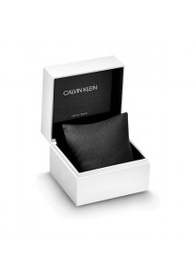 Men's Watch Calvin Klein ESTABILISHED