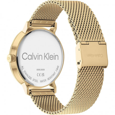 Men's Watch Calvin Klein 25200049