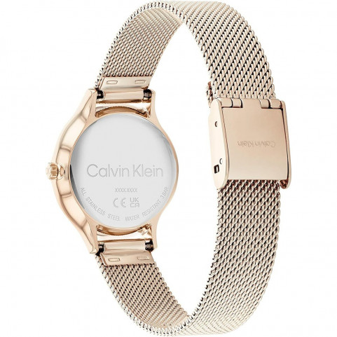 Ladies'Watch Calvin Klein 25200059