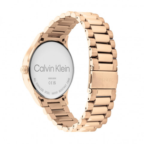 Ladies' Watch Calvin Klein 25200037