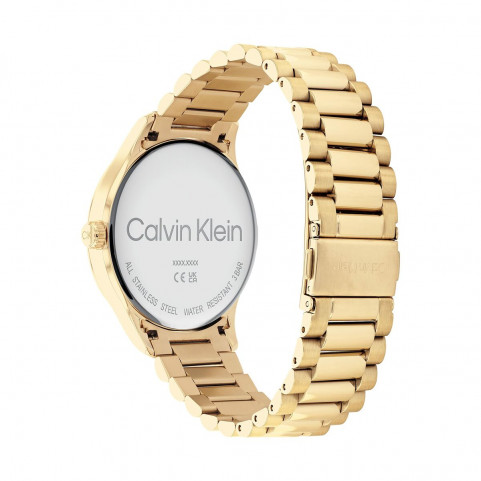 Ladies' Watch Calvin Klein 25200038