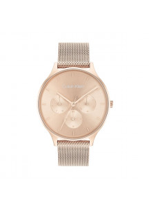 Ladies' Watch Calvin Klein 25200102