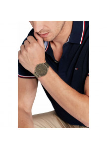 Men's Watch Tommy Hilfiger 1792005