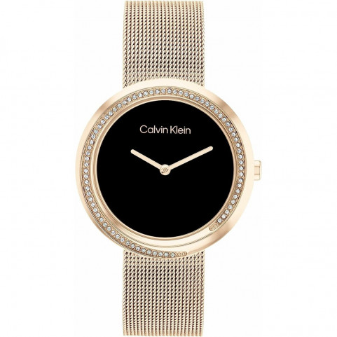 Ladies'Watch Calvin Klein 25200151