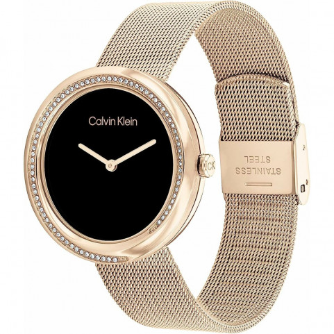 Ladies'Watch Calvin Klein 25200151