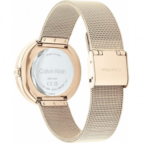 Ladies'Watch Calvin Klein 25200151