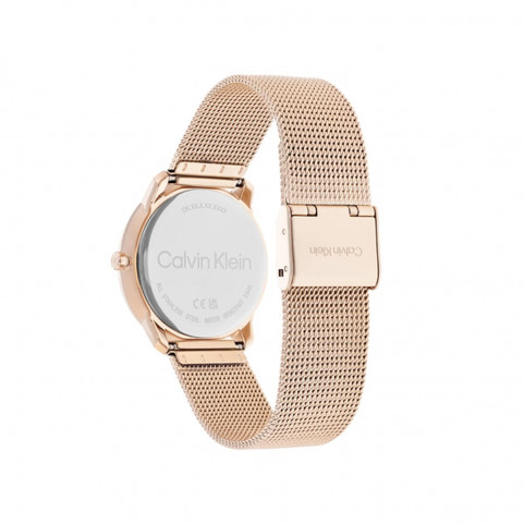 Ladies' Watch Calvin Klein 25200158