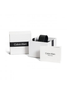 Ladies' Watch Calvin Klein 25200249