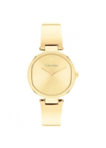 Ladies' Watch Calvin Klein 25200309