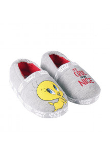 House Slippers Looney Tunes