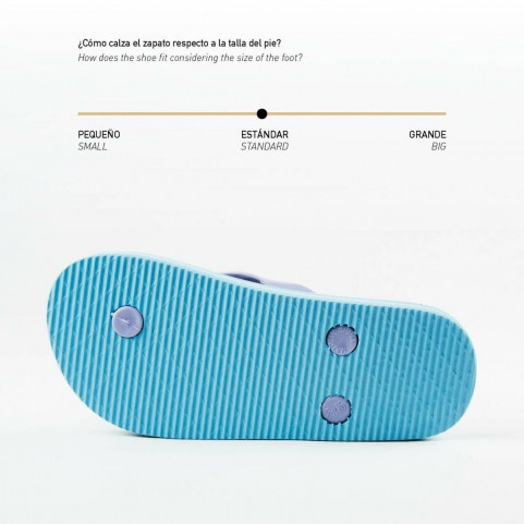 Flip Flops for Children Frozen Blue