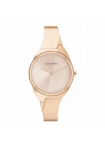 Ladies'Watch Calvin Klein 25200236